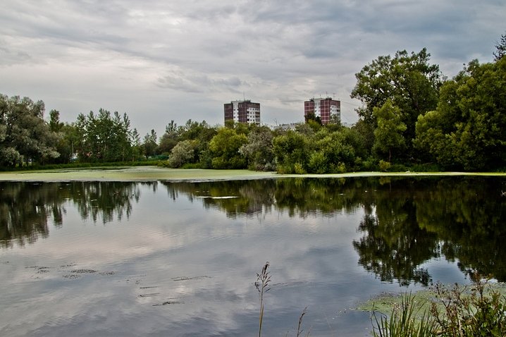 Коммунар гатчинский район фото