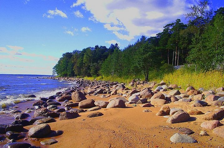 Пляжи и чистый воздух — главные достоинства Курортного района. Фото: http://glavboard.ru
